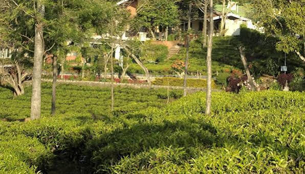 Teanest By Nature Resorts And Stays Кунур Экстерьер фото